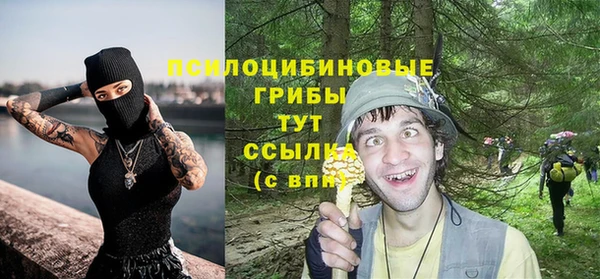 синтетический гашиш Богородицк