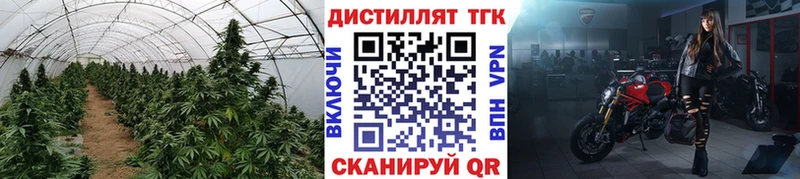 ТГК THC oil Чаплыгин