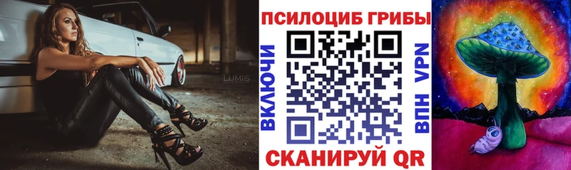 где можно купить   Чаплыгин  Галлюциногенные грибы мицелий 